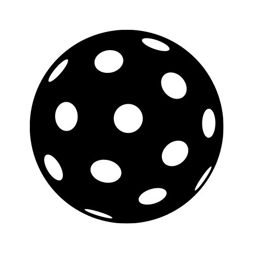 WePlay Pickleball (1).png
